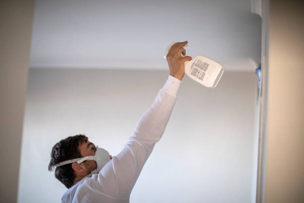Best Mold Cleaning Services  in Powers Lake, WI