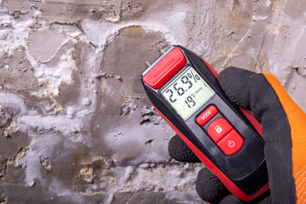 Best Office Mold Removal Services  in Powers Lake, WI
