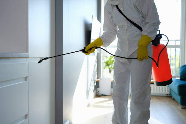 Mold Removal and Inspection in Powers Lake, WI