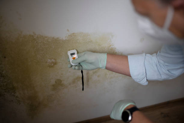 Best Professional Mold Removal  in Powers Lake, WI