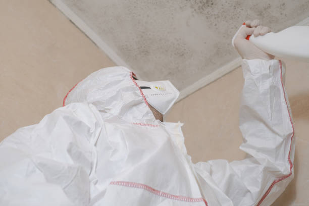 Office Mold Removal Services in Powers Lake, WI