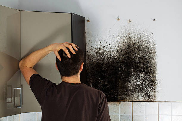 Best Mold Testing  in Powers Lake, WI